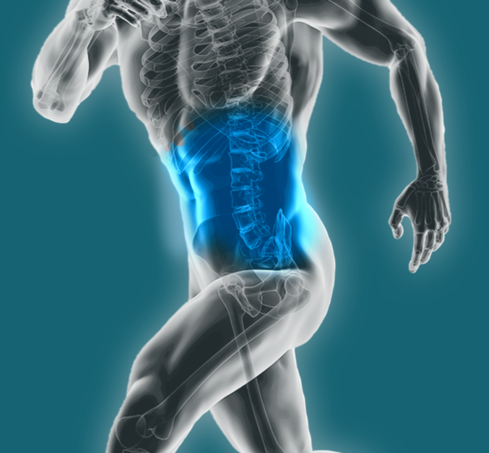 Grafik eines Sportlers mit Blick ins Inneres des Körpers (Skelett). Kopf und Füße sind nicht zu sehen. Der Bauchbereich leuchtet blau.