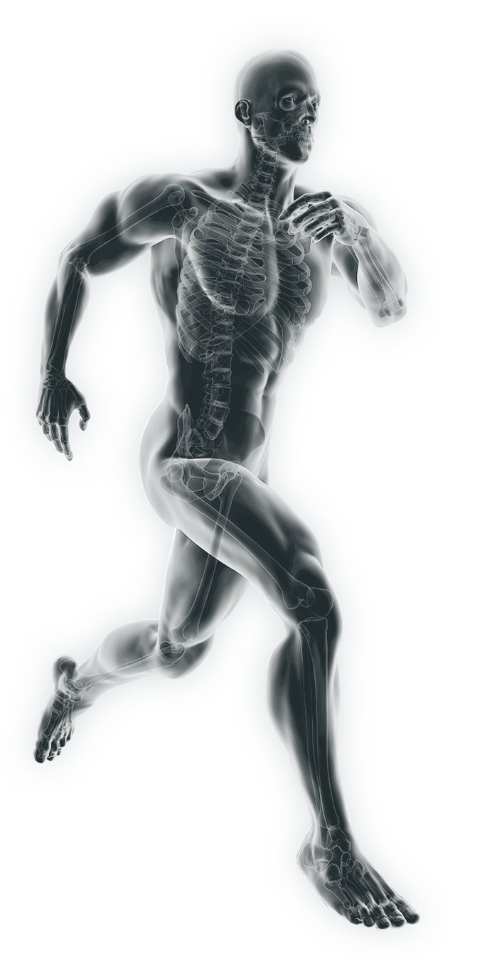Grafik eines laufenden Sportlers mit Blick ins Innere (Skelett)