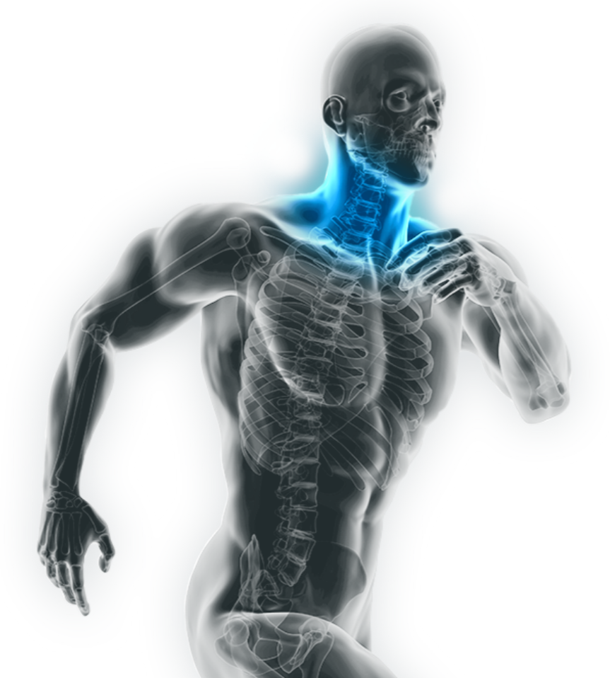 Grafik eines laufenden Sportlers mit Blick ins Innere des Körpers (Skelett). Der Halsbereich leuchtet blau.