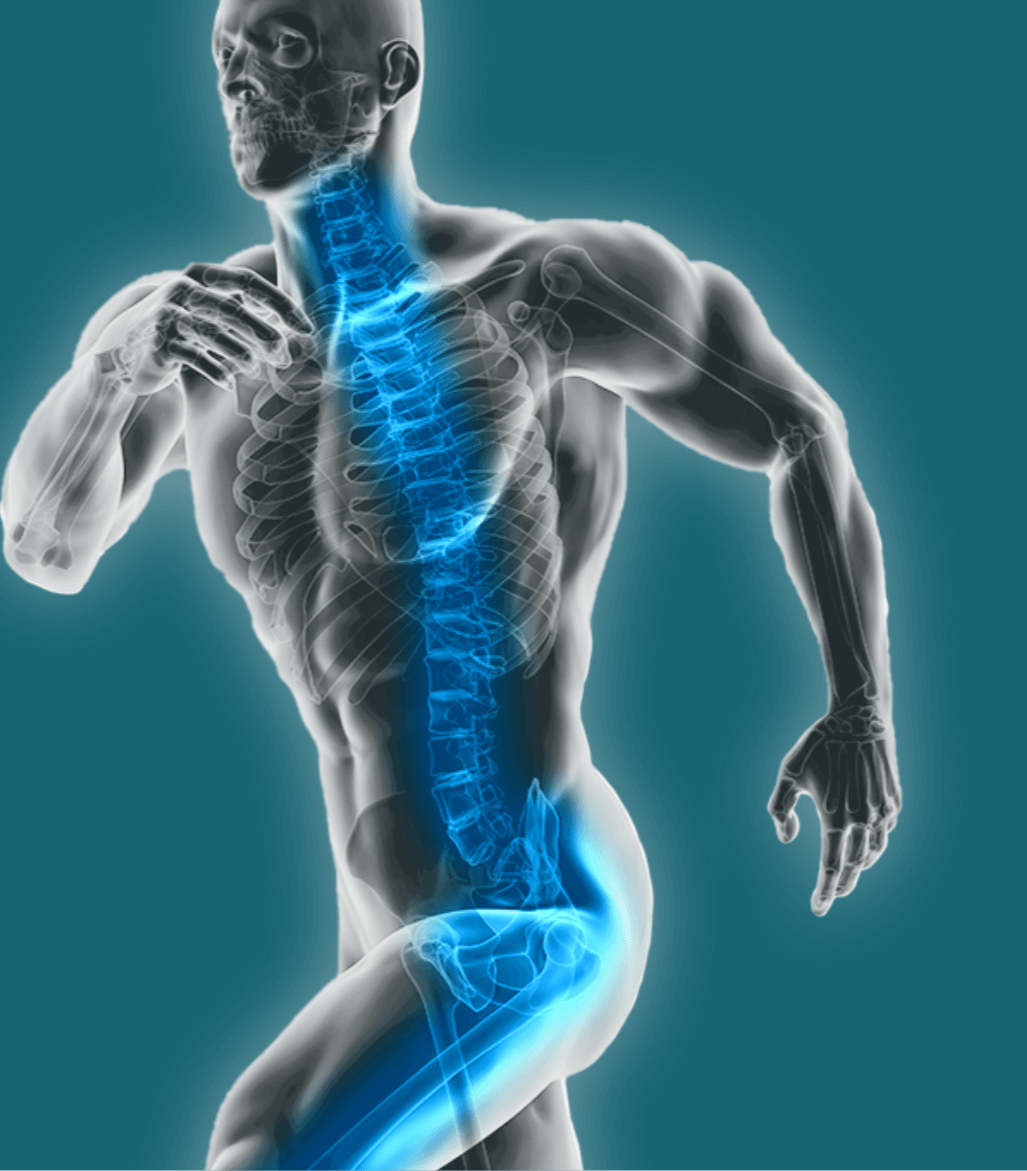 Grafik eines laufenden Sportlers mit Blick ins Innere (Skelett). Die Wirbelsäule, Hüfte und Beinknochen leuchten blau.