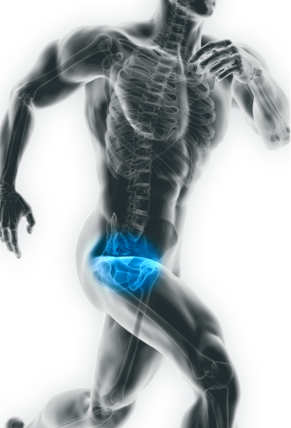Grafik eines laufenden Sportlers mit Blick ins Innere (Skelett). Der Bereich der Prostata leuchtet blau.