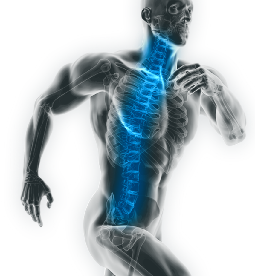 Grafik eines laufenden Sportlers mit Blick ins Innere des Körpers (Skelett). Die Wirbelsäule leuchtet blau.